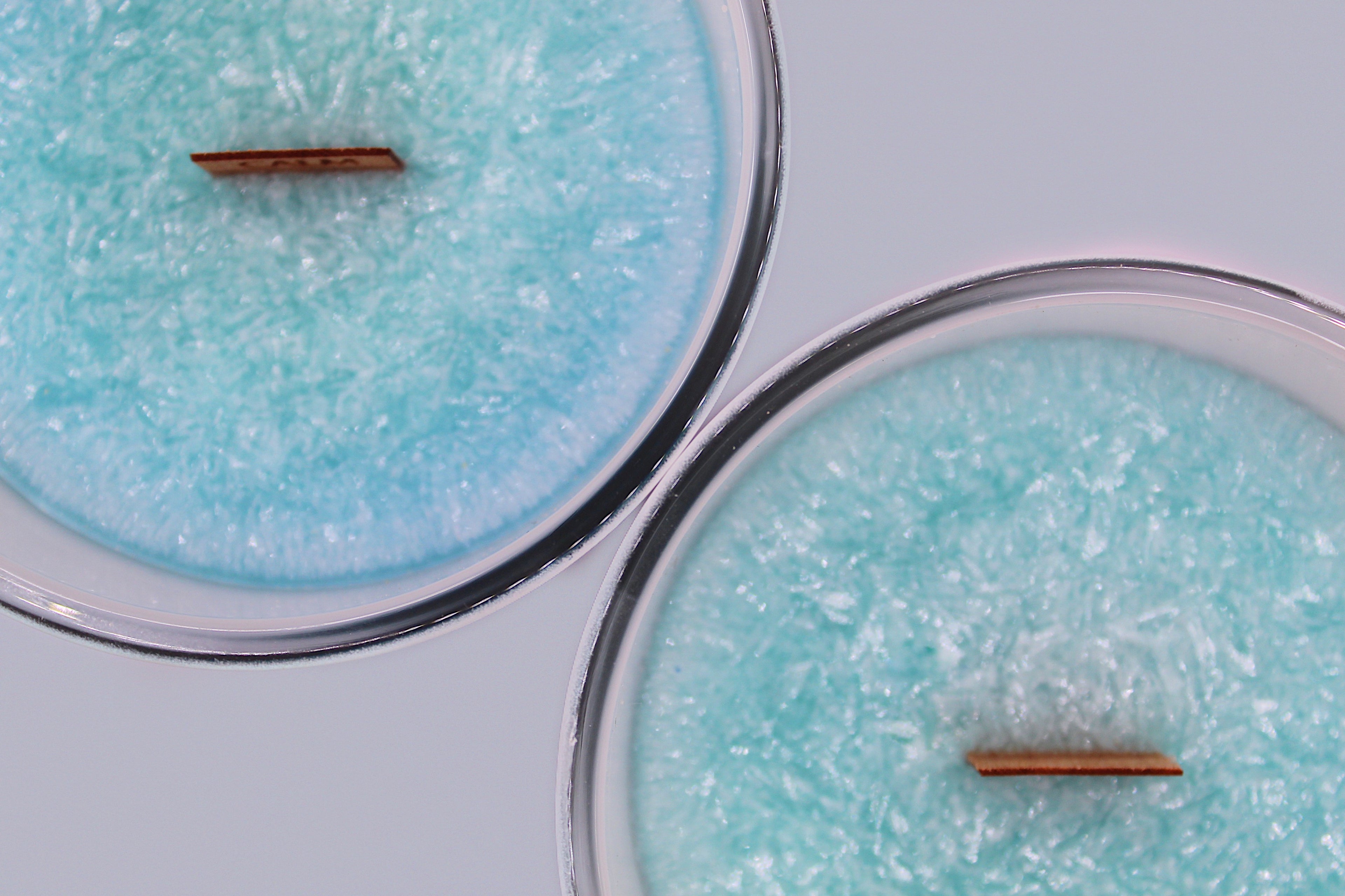Third Beach Organic Wood Wick Candle