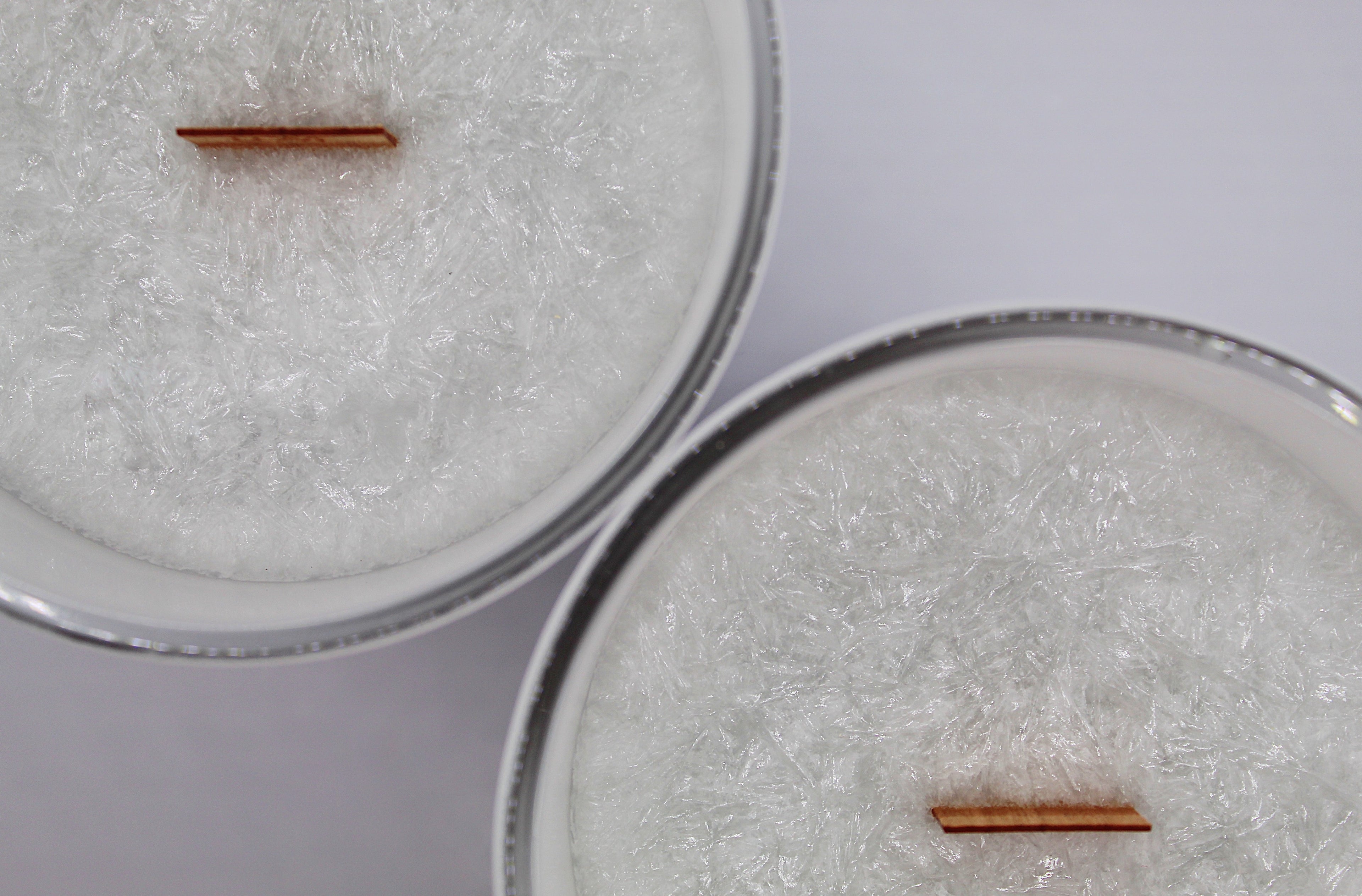 Pebble Beach Organic Wood Wick Candle