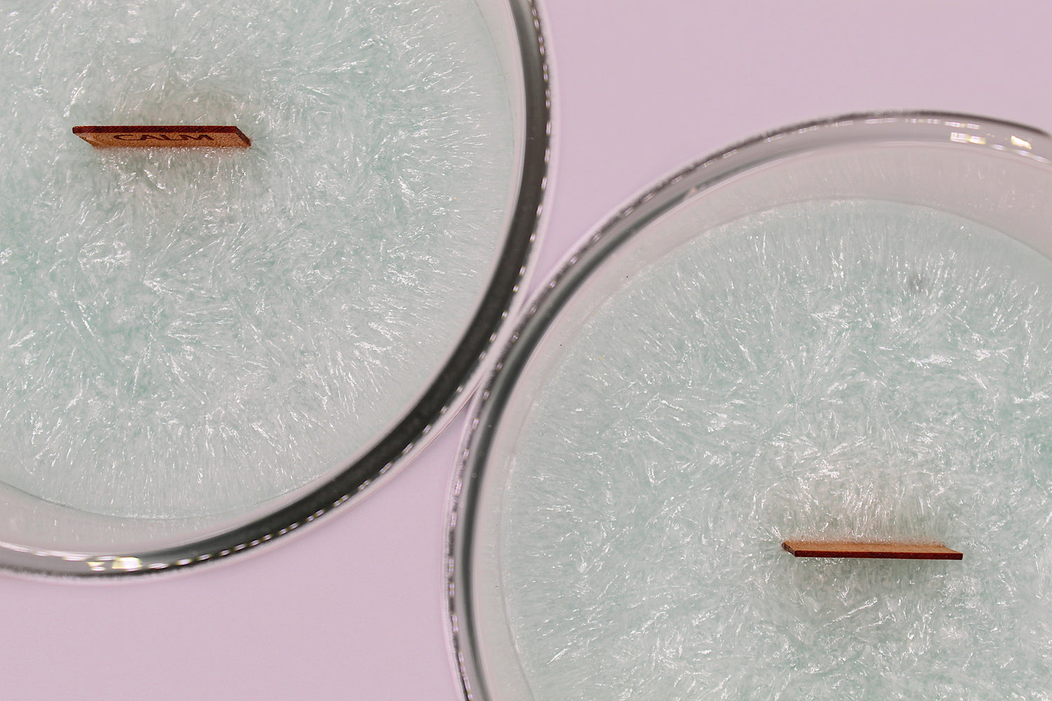 Seaside Cotton Organic Wood Wick Candle
