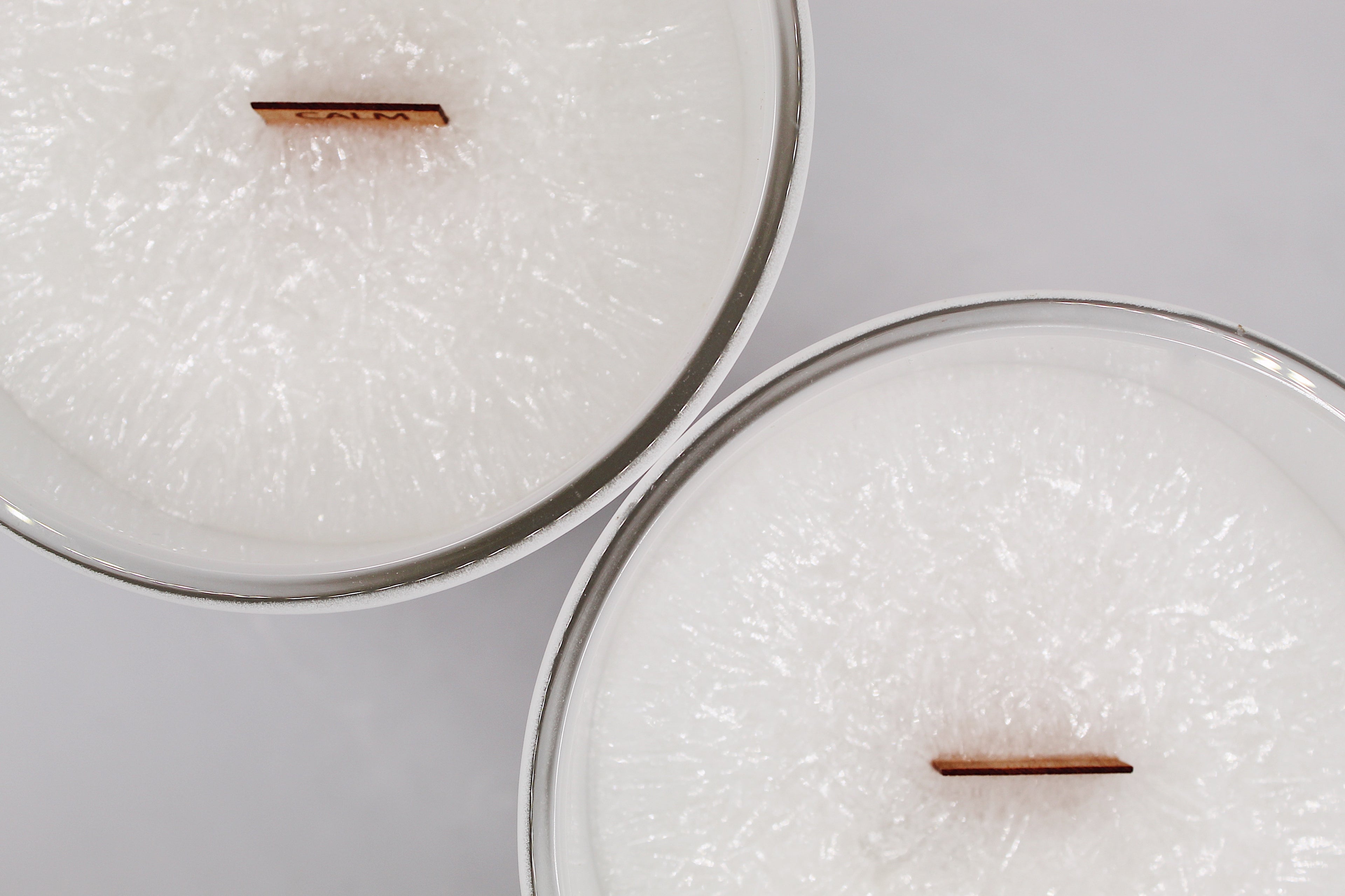 White Rose Organic Wood Wick Candle