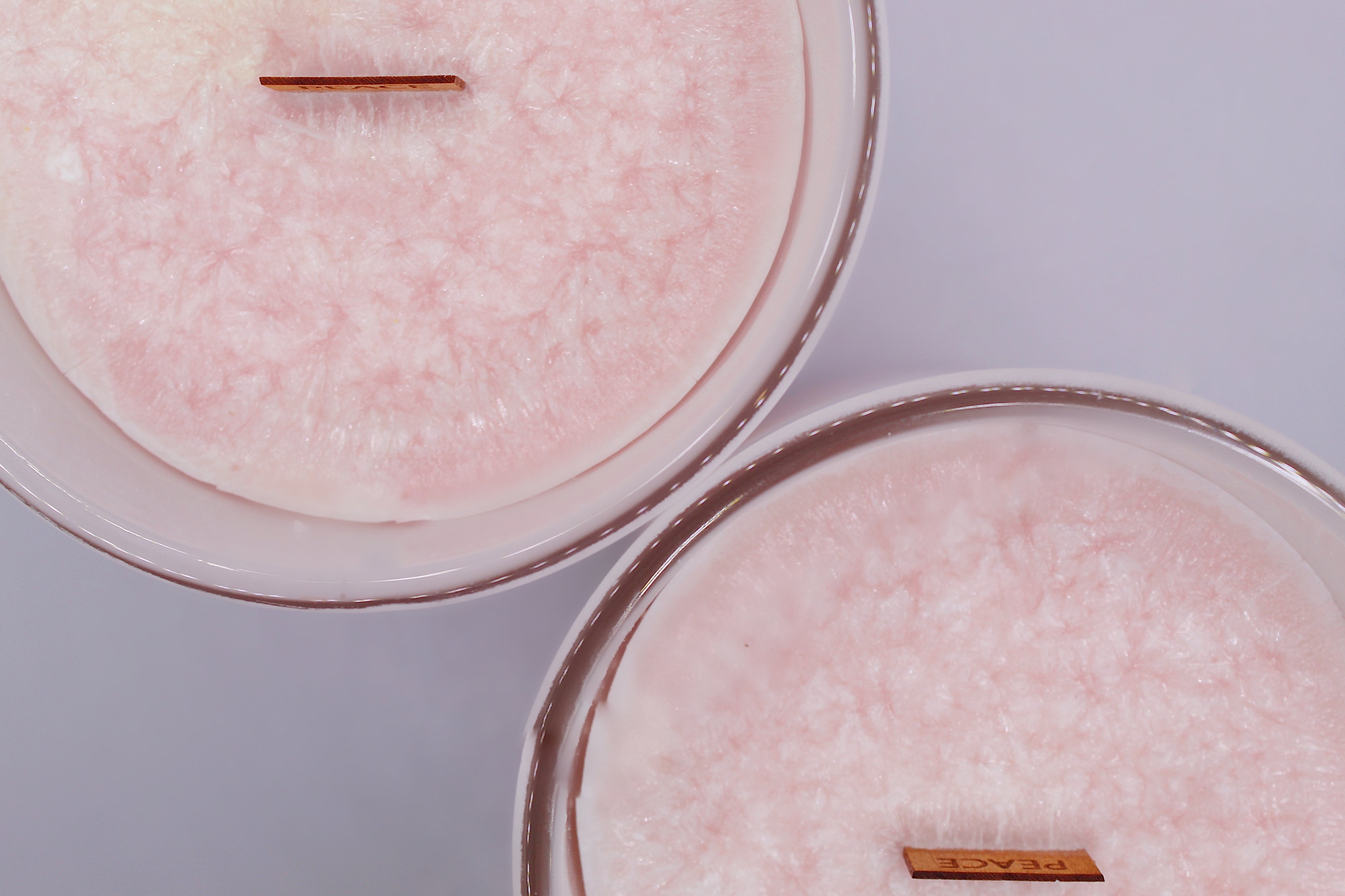Sugar Plum Organic Wood Wick Candle